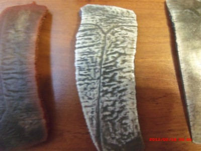 2-19-12  turtle shell sections boil and flatten 013.jpg