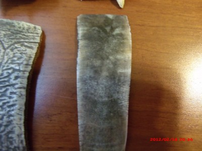 2-19-12  turtle shell sections boil and flatten 014.jpg