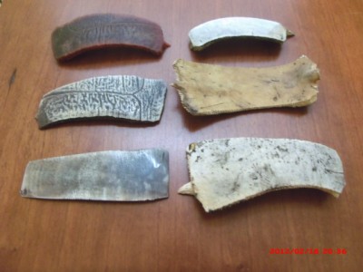 2-19-12  turtle shell sections boil and flatten 015.jpg