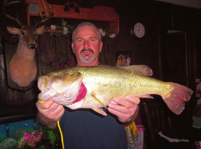 big fish.jpg