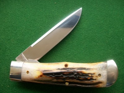 stag big stag 008.JPG