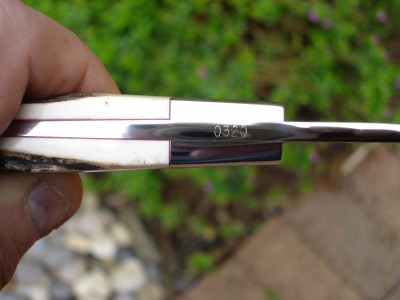 #8 D'holder #320.JPG