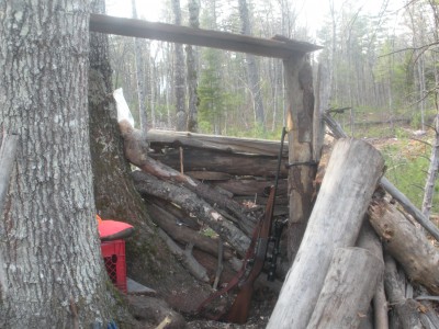 dscn1264.jpg