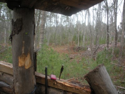 dscn1266.jpg