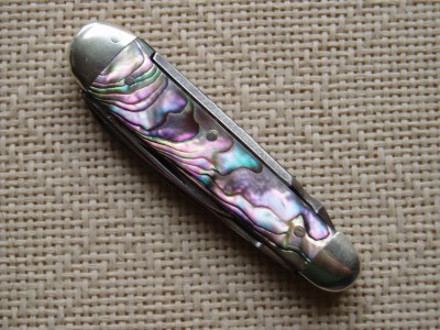 Electric Abalone Lobster.JPG