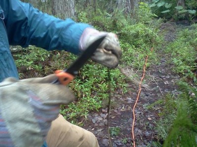 Gerber knife cut rope.jpg