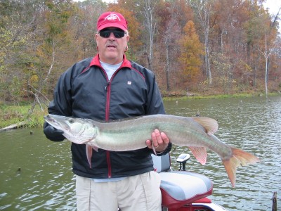 41 in Muskie (3) - Lake Kincaid 10-25-03.JPG