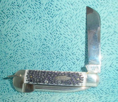 SANY0010.JPG