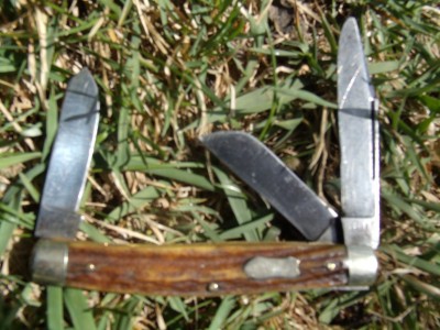 Coles NY Germany stag stockman.jpg