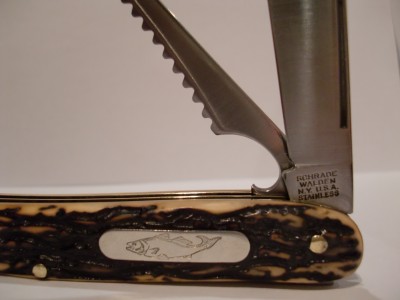 SW Fish Tang.JPG
