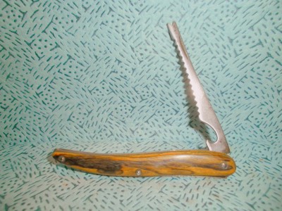 SANY0002.JPG