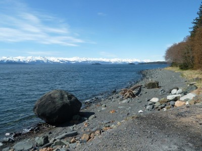 P1040944-35.JPG
