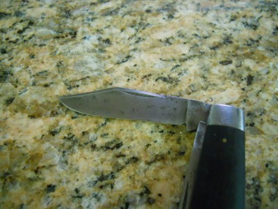 3.5'' Ebony Catt (1).JPG