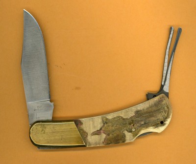 Kershaw 2605 Wiley spring.jpg