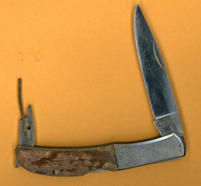 Kershaw Wild Turkey spring.jpg