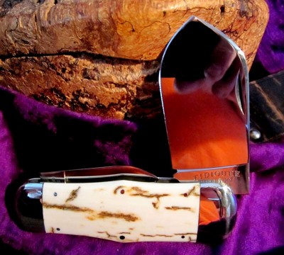 Mammoth Tooth bark.JPG