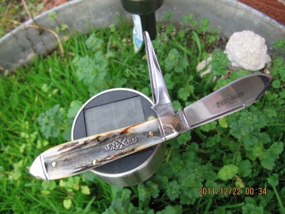 GEC%20#852211P%20Burnt%20Stag%20#19.jpg