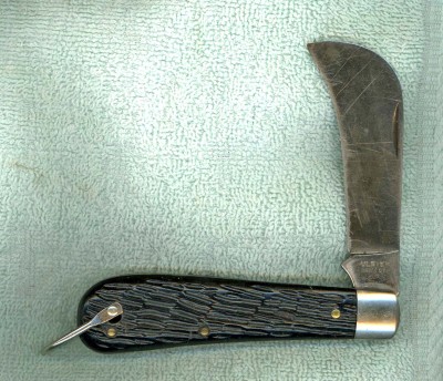 Ulster Hawkbill-jigged.jpg