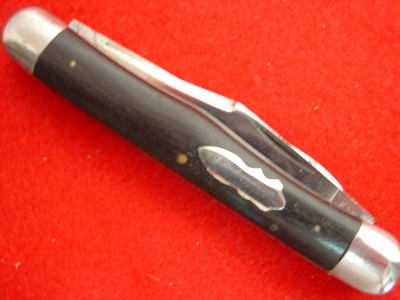 Robeson Surveyor 1.jpg