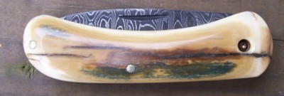 2007 002.jpg