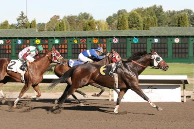 Riderless Race Horse.jpg