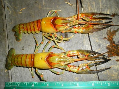 SANY0002.JPG