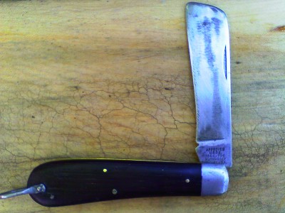 IMAG0232.JPG