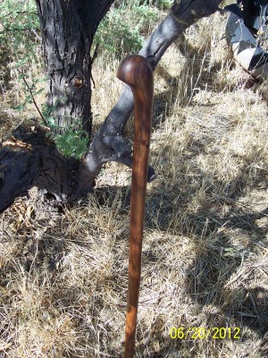 100_1894.JPG