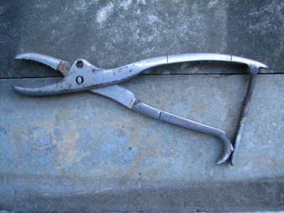 007.JPG