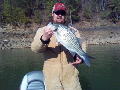 IMG_20111228_113740.jpg