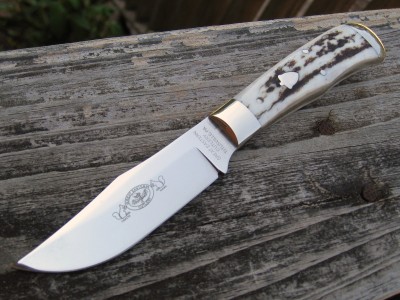 GEC H73312 American Elk (a).JPG