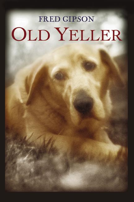 OLD YELLER.jpg