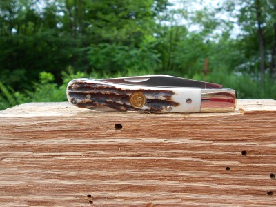 Prototype Whitetail Antler.JPG