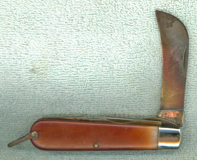 Holeb Hawkbill #2.jpg