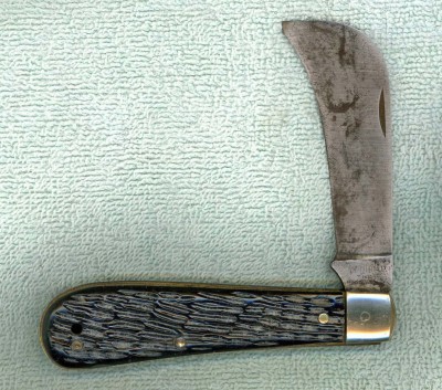 Dunlap Hawkbill #2.jpg