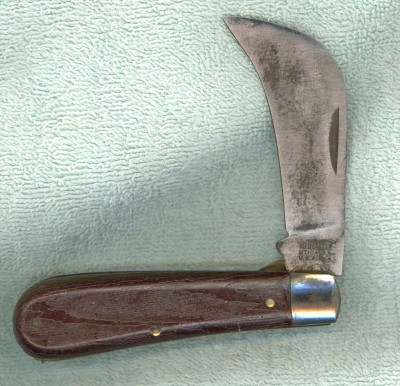 Kutmaster Hawkbill #2.jpg