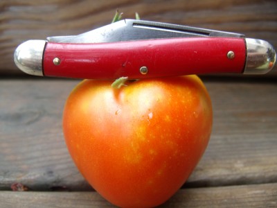 Tomato Hammer Stockman '45-'55 007.jpg