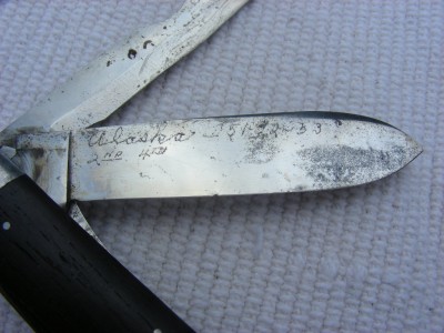 casetl29c.JPG