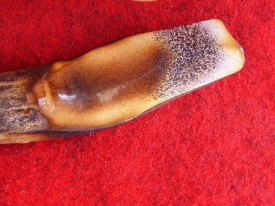 burnt antler experiment.jpg