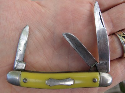 Colonial small yellow stockman 001.jpg