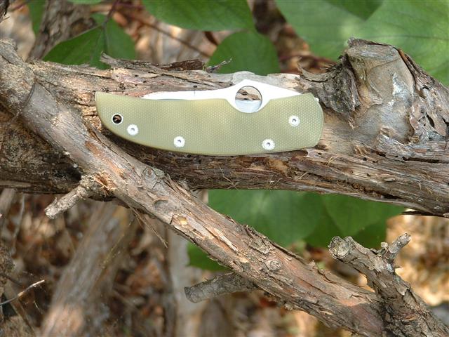 Spyderco Walker Frame Lock conversion by STR 018.jpg