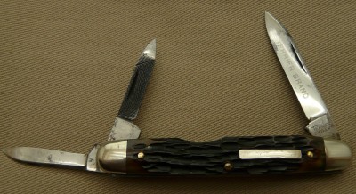TerrierWhittler2.jpg