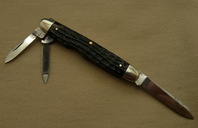 TerrierWhittler3.jpg