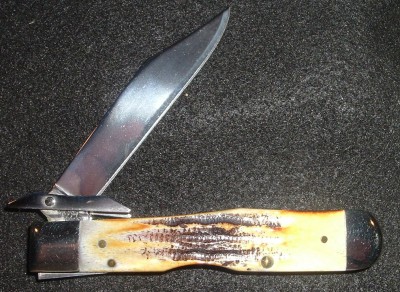 Cheetah 113 014.JPG