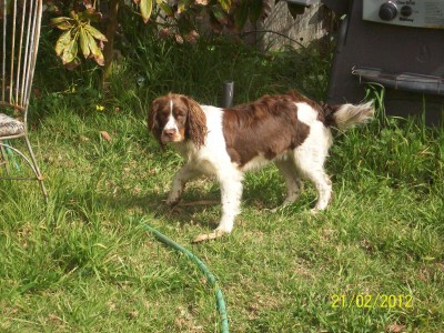 lucy 9mo 005.JPG