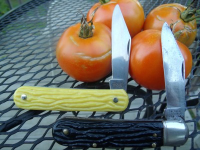 Blac & Yellow Colonial Lockbacks 001.jpg
