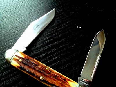 GEC_MOOSE.JPG
