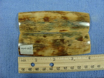 Mammouth Ivory MM-017.jpg