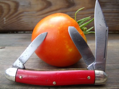 Tomato Hammer Stockman '45-'55 005.jpg
