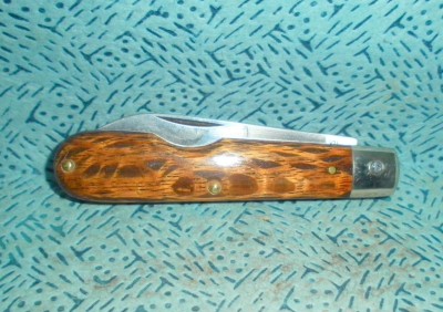 SANY0003.JPG